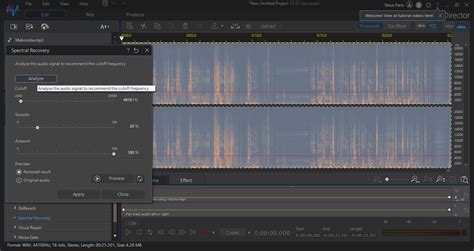 CyberLink AudioDirector 2022 Free Download Options
